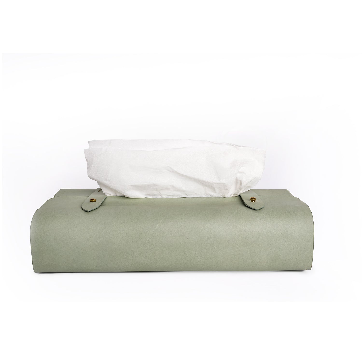 Caprahem TB-02 handmade mint green leather tissue box cover for home and car — front view